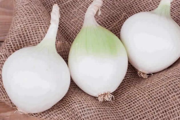 【圖】白洋葱對健康的9大好處