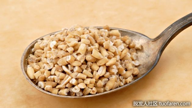 【圖】鋼切燕麥的好處