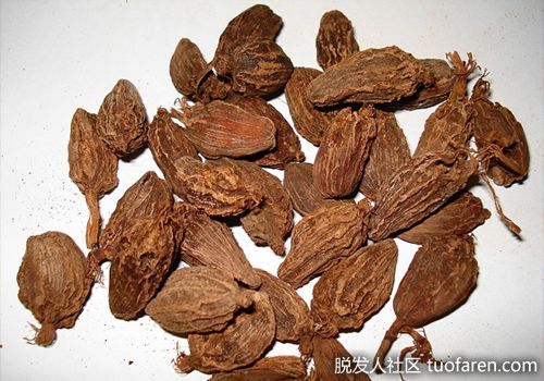 【圖】小豆蔻對健康的7大益處