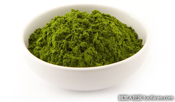 【圖】大麥草粉的5個最重要的好處