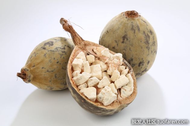 【圖】猴麪包樹果實的好處