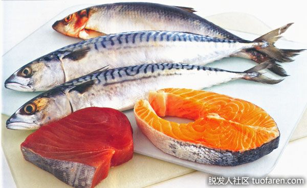 【圖】養髮飲食：富含脂肪的魚類