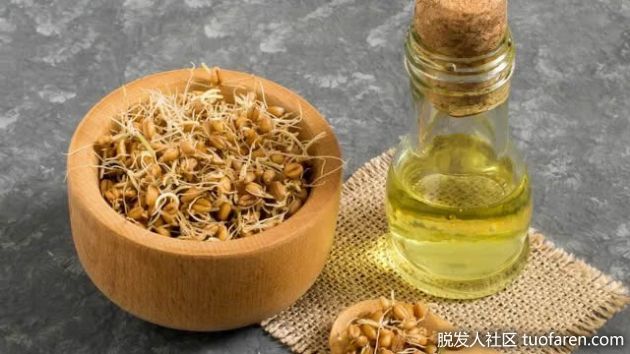 【圖】小麥胚芽油維e含量有多少？