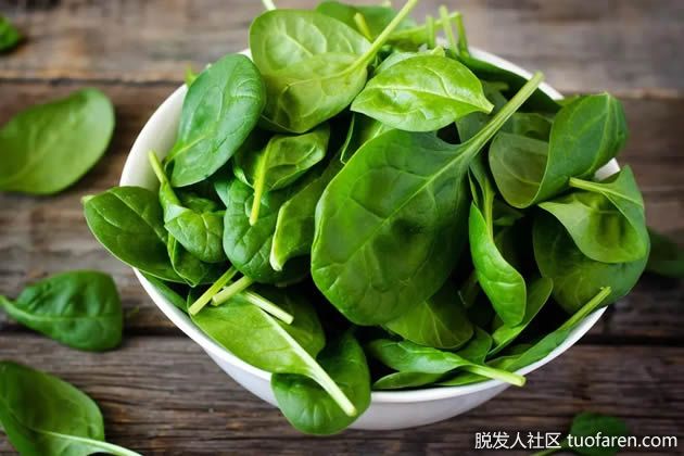 【圖】養髮食物：菠菜