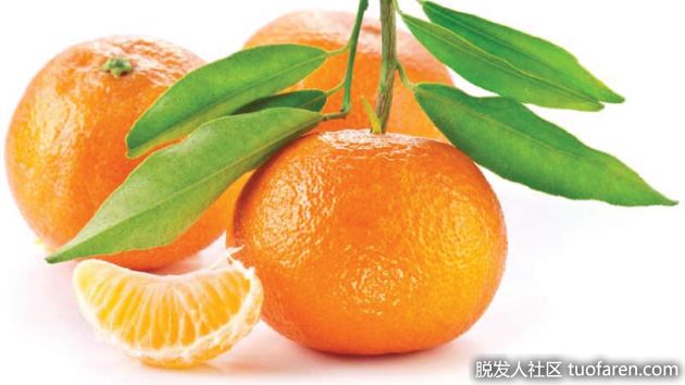 【圖】橘子的維生素C含量和橙子一樣多嗎？