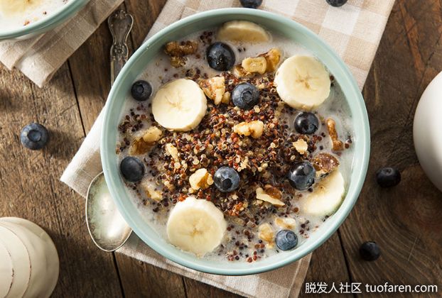 【圖】可消化纖維和不可消化纖維