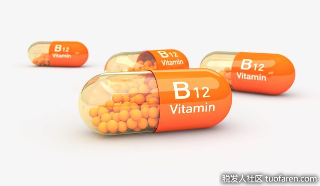 【圖】人體會產生維生素B12嗎？