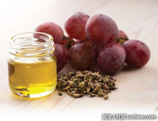 【圖】葡萄籽油與紅花籽油