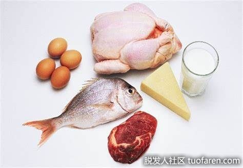 【圖】哪些食物富含維生素B12？