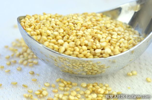 【圖】藜麥對頭髮健康也有什麼好處？