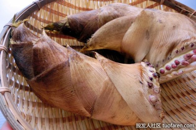 【圖】吃竹筍來擁有美麗的頭髮!