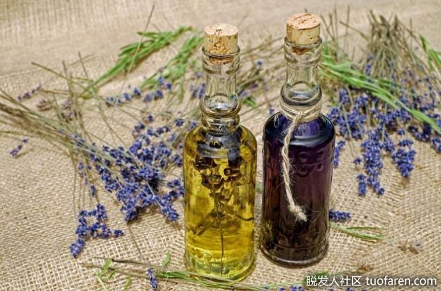 【圖】亞麻籽油的護髮功效