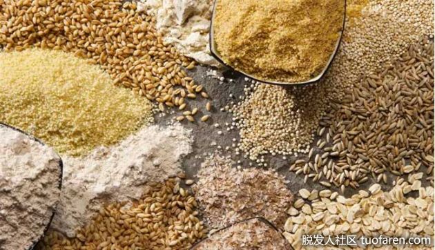 【圖】賴氨酸含量最高的穀物