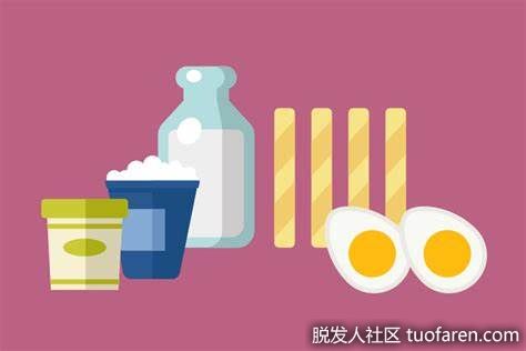 【圖】蛋白質的主要工作是什麼？