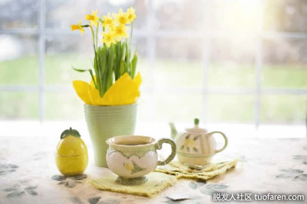 【圖】甘菊茶的護髮效果