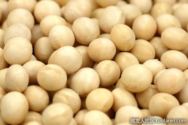 【圖】有效攝取對頭髮有益蛋白質的方法