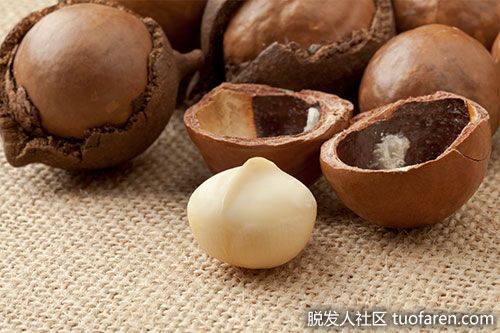 【圖】澳洲堅果有什麼好處？