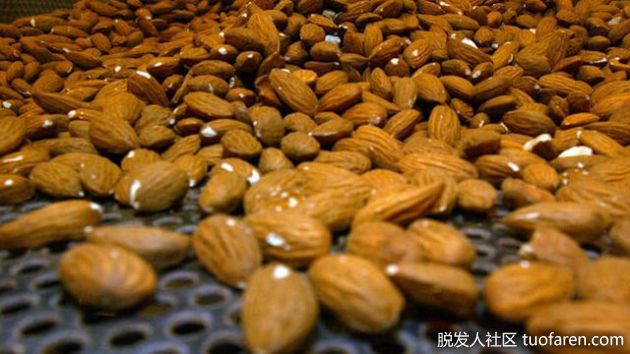 【圖】10顆杏仁含有多少蛋白質？