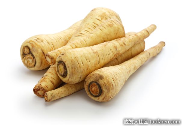 【圖】防風草的健康益處