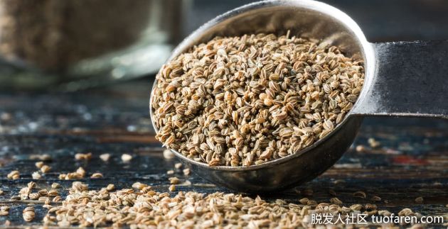 【圖】芹菜籽的好處