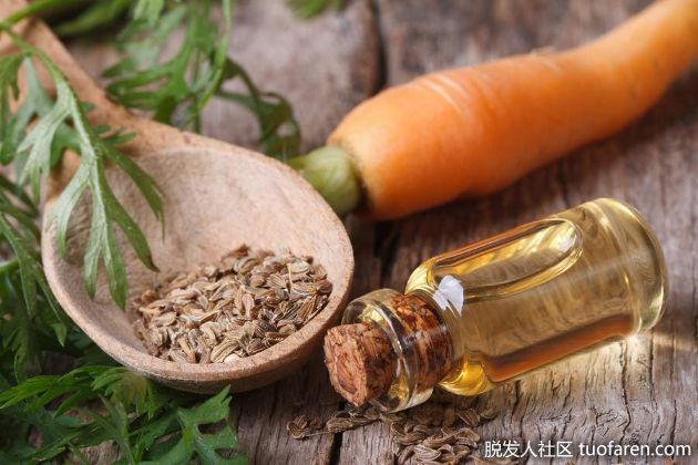 【圖】胡蘿蔔籽油對頭髮的功效