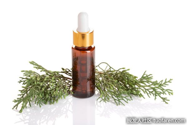 【圖】柏樹精油對頭髮的功效