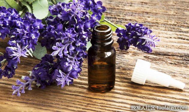 【圖】薰衣草精油對頭髮的功效