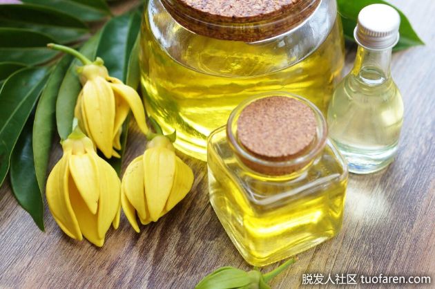 【圖】依蘭精油對頭髮的好處