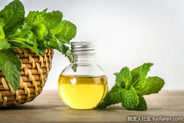 【圖】薄荷精油對頭髮的作用