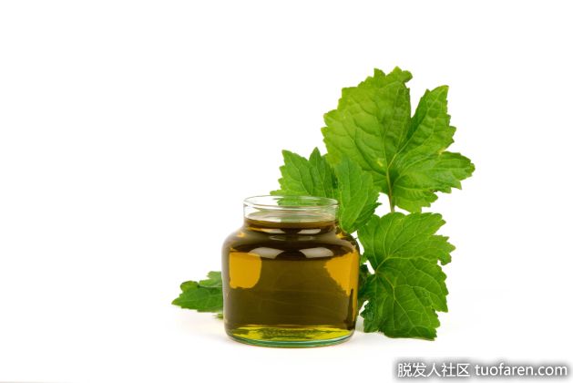 【圖】廣藿香精油對頭髮的功效