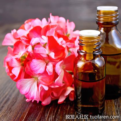 【圖】天竺葵精油對頭髮的功效