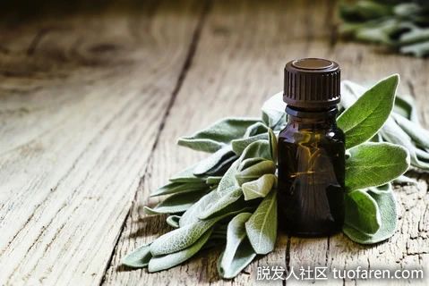 【圖】鼠尾草精油的使用方法