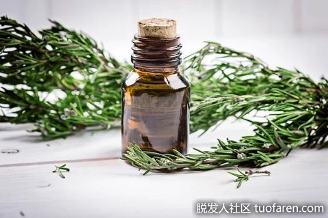 【圖】迷迭香精油的使用方法