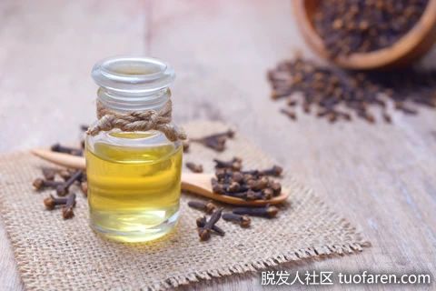 【圖】丁香精油的使用方法