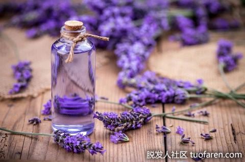 【圖】薰衣草精油的使用方法