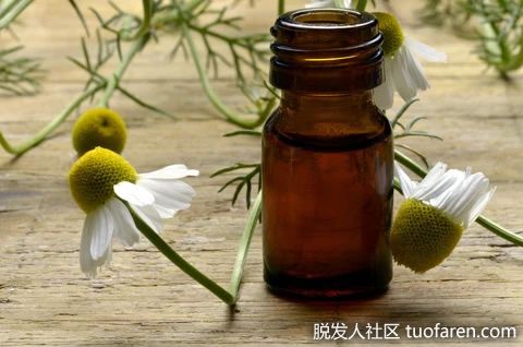 【圖】洋甘菊精油的使用方法