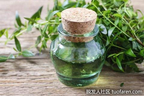 【圖】桃金娘精油的使用方法