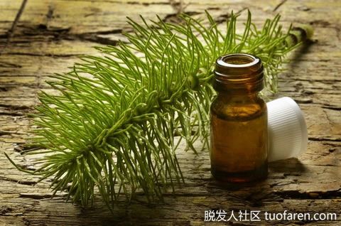 【圖】馬尾草精油的使用方法
