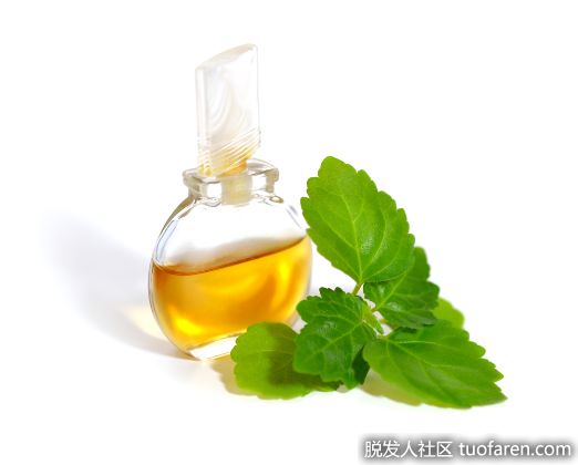 【圖】廣藿香精油護髮