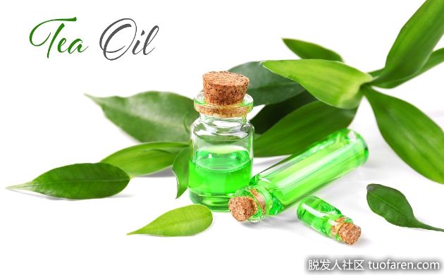 【圖】茶樹精油護髮