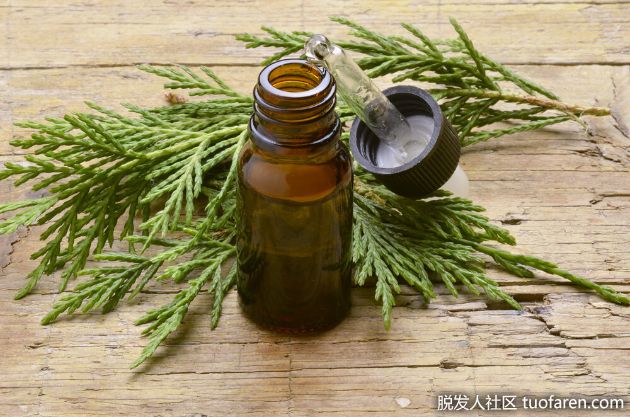 【圖】柏樹精油護髮