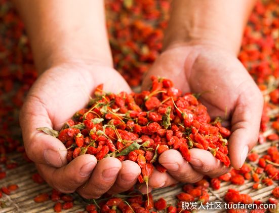 【圖】枸杞子有哪些健康益處？