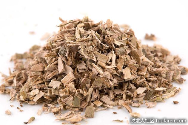 【圖】白柳樹皮對健康益處