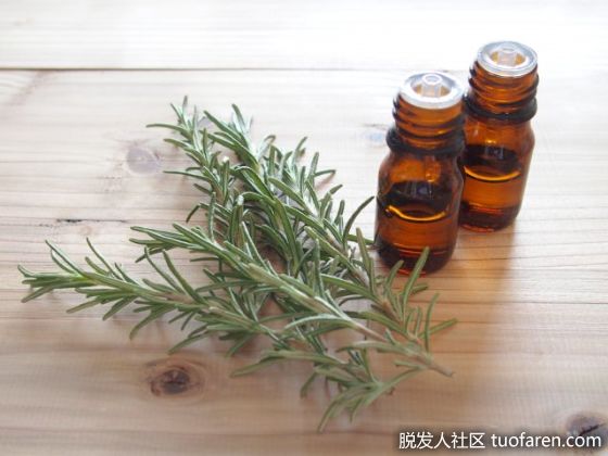 【圖】用茶樹油徹底清潔頭皮