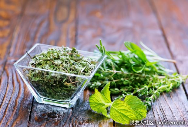 【圖】牛膝草茶有什麼好處？