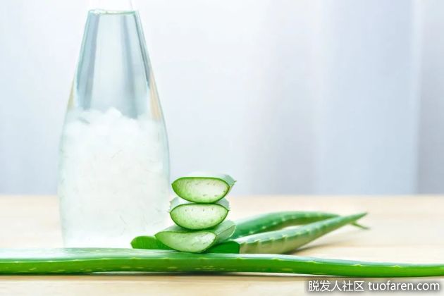 【圖】蘆薈汁對健康有什麼好處？