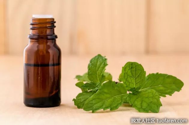 【圖】如何在頭皮上使用薄荷油