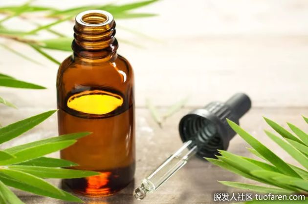 【圖】茶樹油直接加到洗髮水中使用