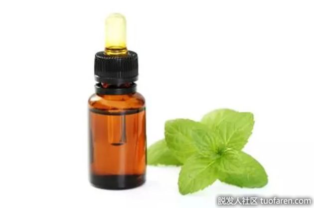 【圖】薄荷油和皮膚