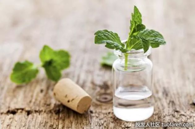 【圖】薄荷芳香療法的好處